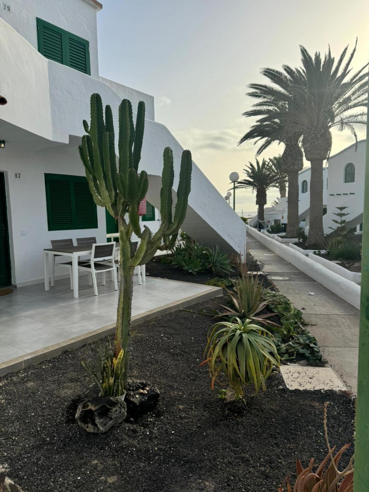 Cotillo 外观 照片